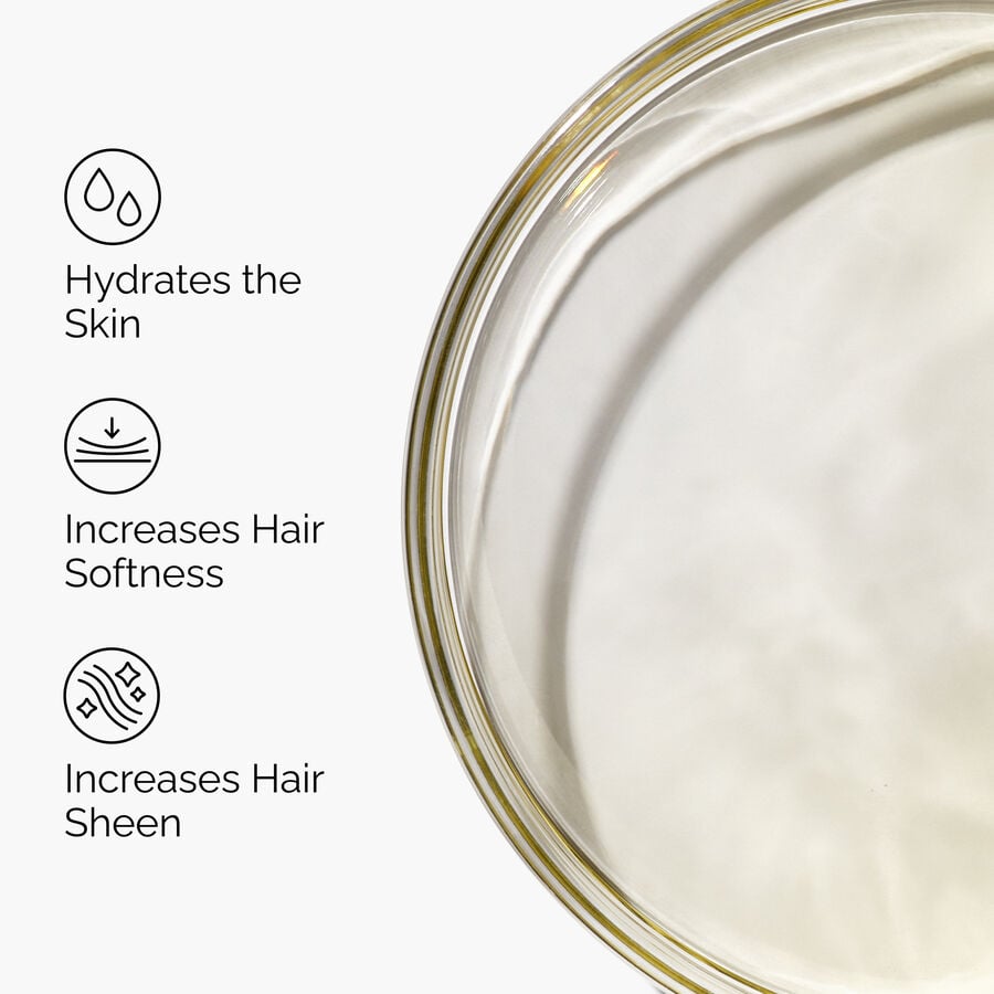 100-organic-cold-pressed-moroccan-argan-oil-h5 FY25-D41247-ORD-Web-PDP-100-Argan-Oil-1x1-EN-3.jpg