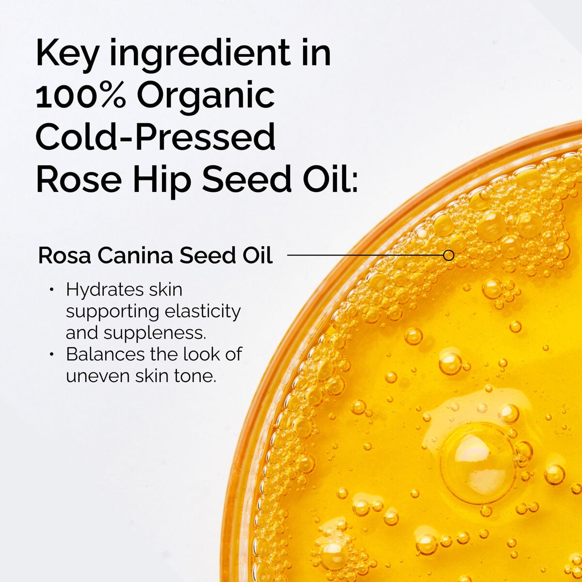 100-organic-cold-pressed-rose-hip-seed-oil-h0 FY25-D41247-ORD-Web-PDP-100-Rose-Hip-Oil-1x1-EN-2.jpg