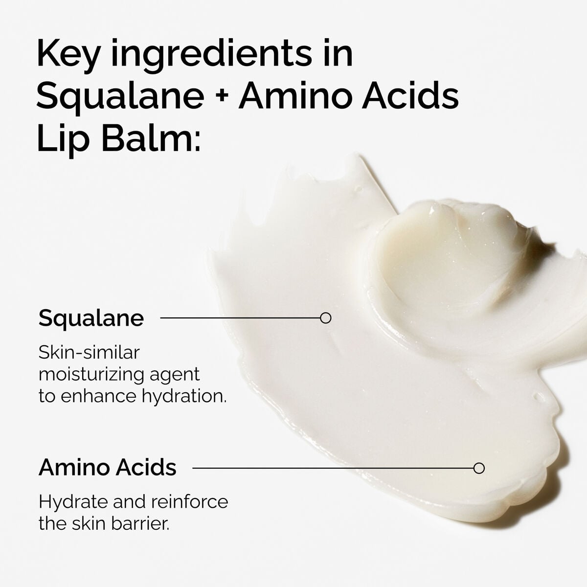 squalane-amino-acids-lip-balm-f2 FY25-D41247-ORD-Web-PDP-Sql-Amino-Lip-1x1-EN-2a.jpg