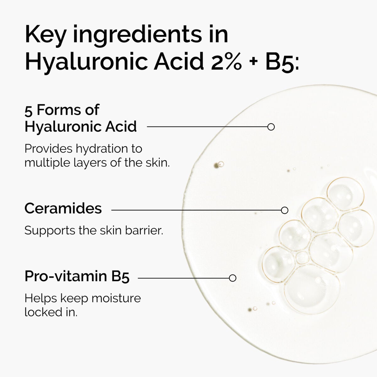 hyaluronic-acid-2-b5-with-ceramides-l9 ord-hyaluronic-acid-2pct-b5-hydrating-serum-ingredients-graphic.jpg