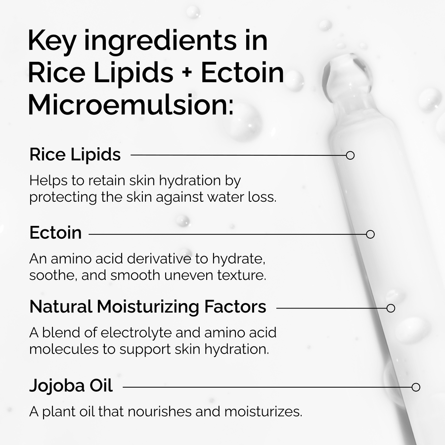rice-lipids-ectoin-microemulsion-s6 ord-rice-lipids-ectoin-microemulsion-key-ingredients.png