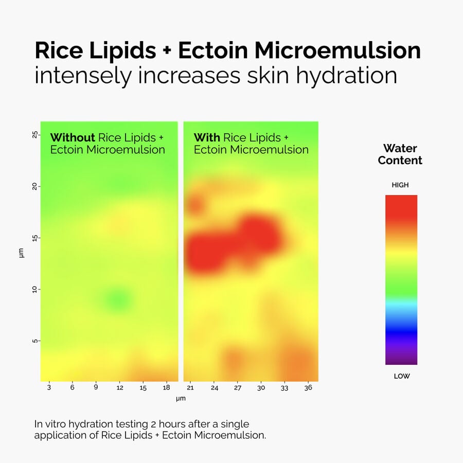 rice-lipids-ectoin-microemulsion-s6 ord-rice-lipids-ectoin-microemulsion-thermal-before-after.jpg